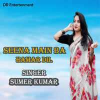 seena main ba hamar dil