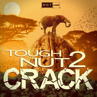 Tough Nut 2 Crack