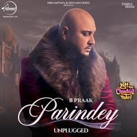 Parindey Unplugged (From "Jatt Nuu Chudail Takri")