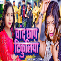 bhatar chhap holi song mp3 download