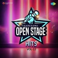 Open Stage Hits - Vol 12