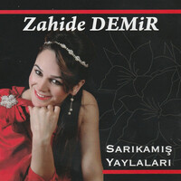 Sarıkamış Yaylaları