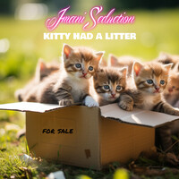 Kitty Had a Litter