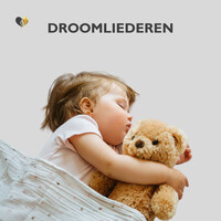 Droomliederen