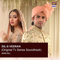 Dil-E-Veeran (Original TV Series Soundtrack)