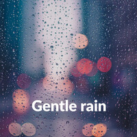 Gentle Rain