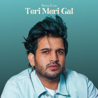 Teri Meri Gal