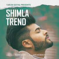Shimla Trend