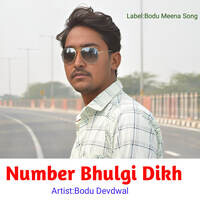 Number Bhulgi Dikh