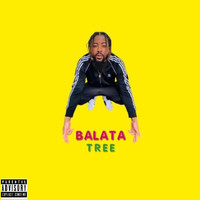 Balata Tree