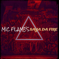 MIC FLAMES