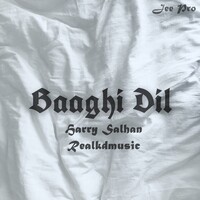 Baaghi Dil