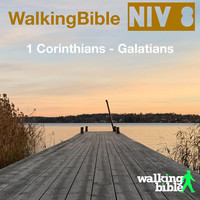 WalkingBible Niv 8 1 Corinthians - Galatians