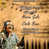 Harin Gulo Chilo Bone