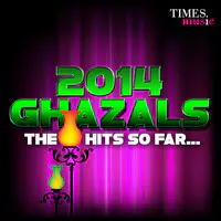 2014 Ghazal - The Hits So Far