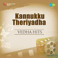 Kannukku Theriyadha Vedha Hits