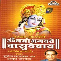 Sa Re Ga Ma Pa Dha Ni Sa Morgaon Lyrics In Hindi Ganapati rti Lata Mangeshkar And Usha Mangeshkar Sa Re Ga Ma Pa Dha Ni Sa Morgaon Song Lyrics In English Free