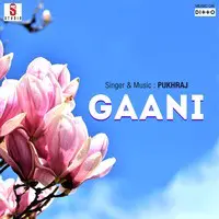 Gaani