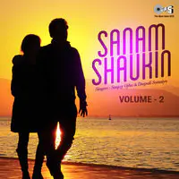 Sanam Shaukin (Vol 2)