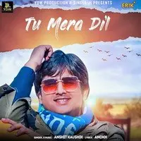 Tu Mera Dil