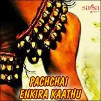 Pachchai Enkira Kaathu