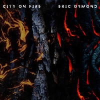 City on Fire Song Download: City on Fire MP3 Song Online Free on Gaana.com