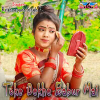 Toke Dekhe Babur Mai