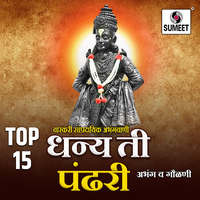 Top 15 Dhanya Ti Pandhari