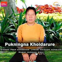 Pukningna Khoidarure