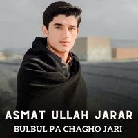 BulBul Pa Chagho Jari