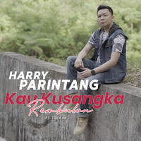 Harry Parintang - Kau Kusangka Rembulan