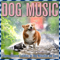 Dog Music: Calming Classical Lullabies for Dog Relaxation and Sleep
