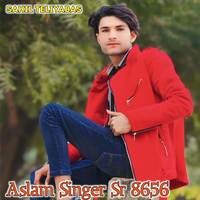 Aslam Singer Sr 8656