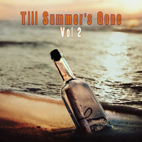 Till Summer´S Gone, Vol. 2