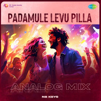 Padamule Levu Pilla - Analog Mix