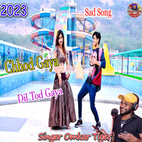 Chhod Gaya Dil Tod Gaya