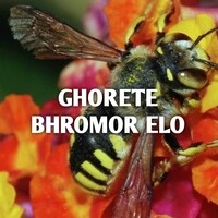 GHORETE BHROMOR ELO