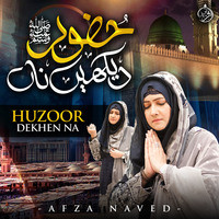 Huzoor Dekhen Na