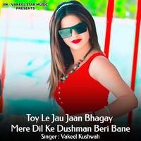 Toy Le Jau Jaan Bhagay Mere Dil Ke Dushman Beri Bane