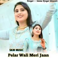 Pelar Wali Meri Jaan