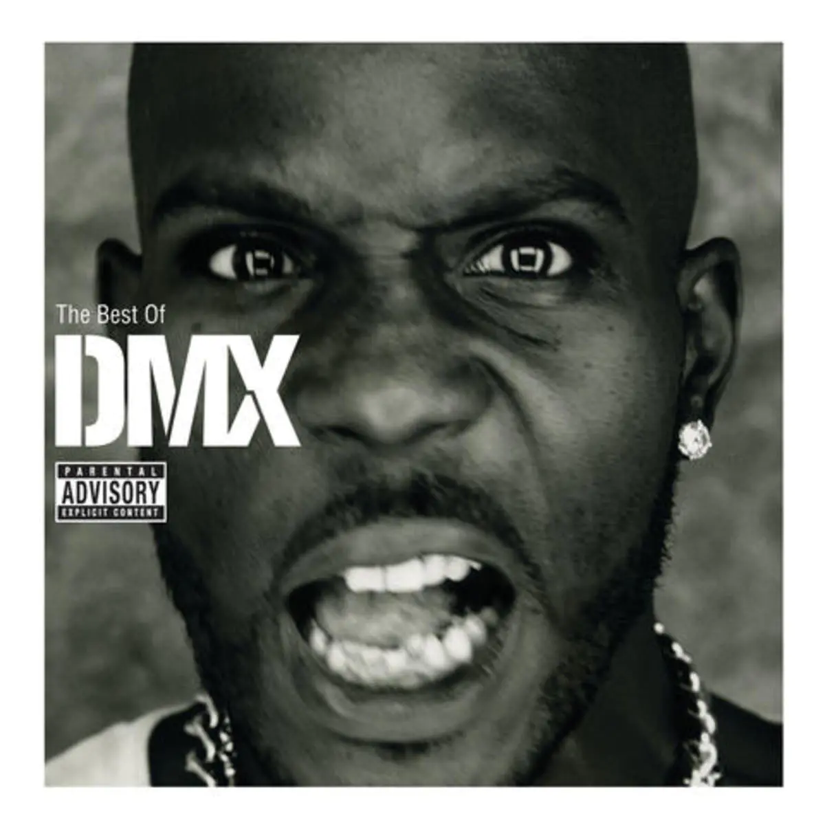 X Gon Give It To Ya Mp3 Song Download The Best Of Dmx X