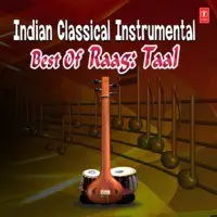 Indian Classical Instrumental - Best Of Raag: Taal