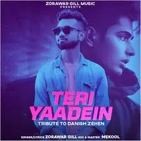 Teri Yaadein