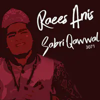 Raees Anis Sabri Qawwal E, Vol. 3071