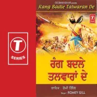 Rang Badle Talwaran De