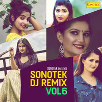 Sonotek DJ Remix Vol 6