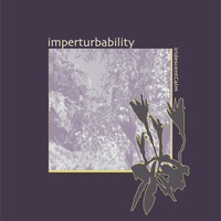 Imperturbability