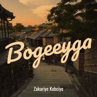 Bogeeyga