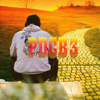 Pdcb3