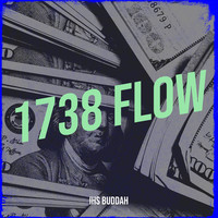 1738 Flow